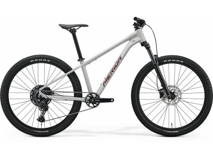 MERIDA BIG.SEVEN 200 Matt Grey(Glitter Cherry) (Velikost S)