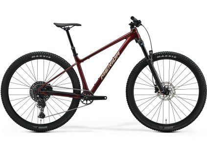 BIG.NINE TR 600 Glitter Cherry(Silver) (Velikost L)