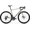 MERIDA SCULTURA ENDURANCE RIVAL EDITION Silk Grey(Blue) (Velikost M)