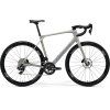 MERIDA SCULTURA ENDURANCE RIVAL EDITION Silk Grey(Blue) (Velikost L)