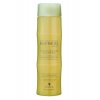 Alterna BAMBOO SHINE Luminous Shampoo - šampon pro zářivý lesk vlasů