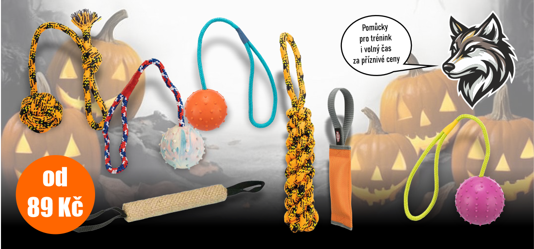 Podzim 2025 Trénink