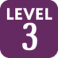 level-3