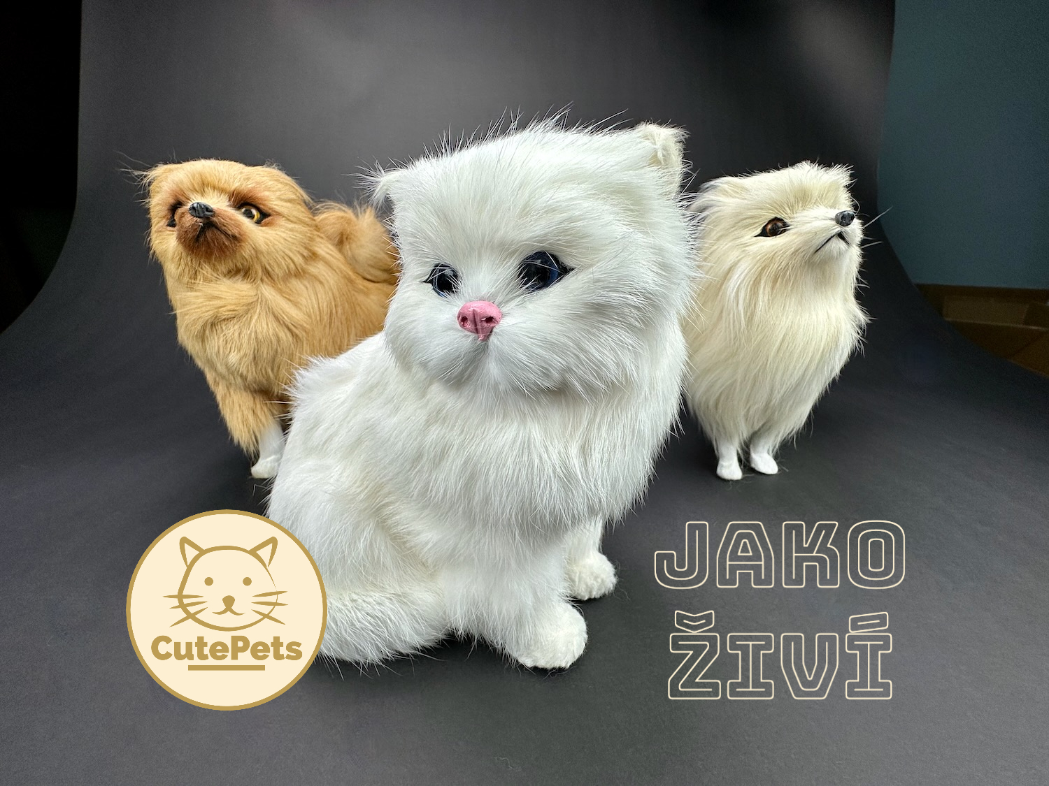 cutepets_grafika_1
