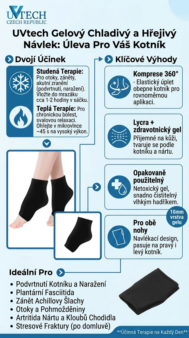 infografika_ice_2