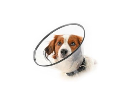 Límec ochranný BUSTER plastový Comfort Collar sada 7ks