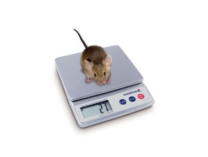 Váha digitální do 5kg CVET