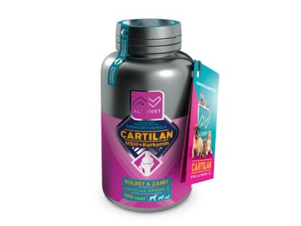 CARTILAN MSM+KURKUMIN 100tbl Altervet
