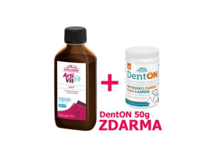 VITAR ArtiVit Sirup 200ml+DentON 50g