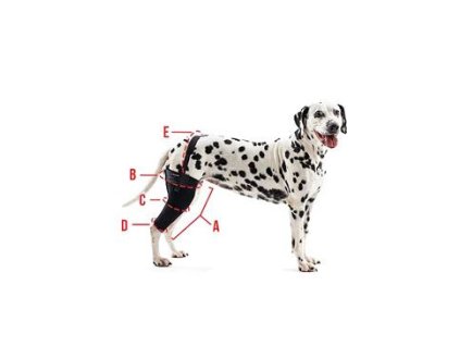 Bandáž Rehab na koleno pro psa KRUUSE XXXS Pravá