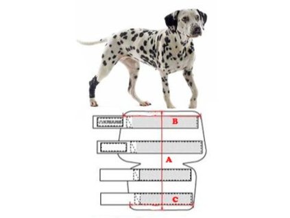 Bandáž Rehab na hlezno pro psa KRUUSE M