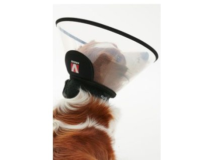 Límec ochranný BUSTER plastový Complete Collar 15cm