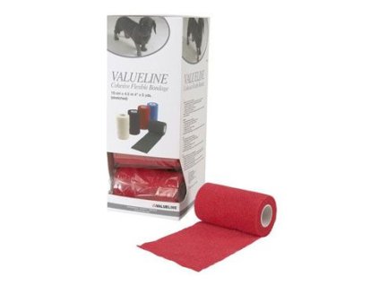 Obinadlo elast. VALUELINE 10cmx4,5m červené 1ks