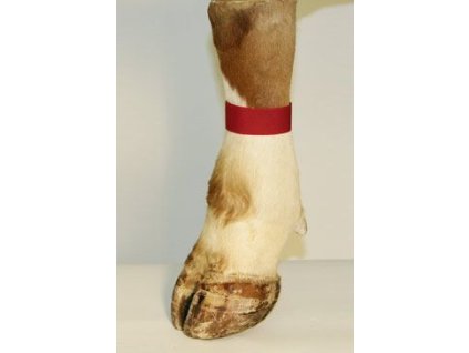 Páska označovací textil na nohu suchý zip červená 10ks