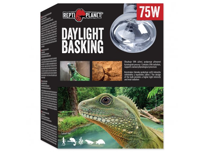 Žárovka Repti Planet Daylight Basking Spot 75W