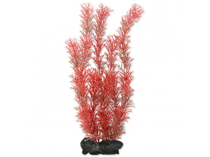 Dekorace Tetra Rostlina Foxtail Red L 30cm