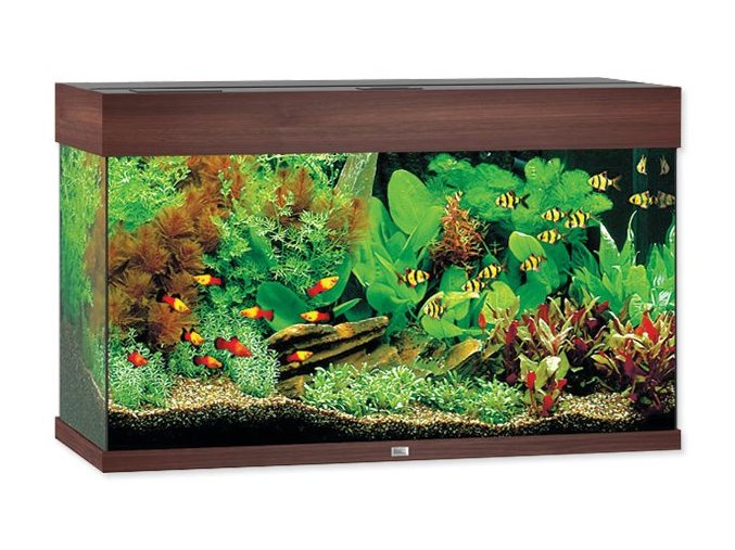 Akvarijní set Juwel Rio LED 125 tmavě hnědé 81x36x50cm 125l