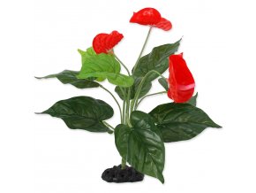 Dekorace Repti Planet Rostlina kvetoucí Anthurium 40cm