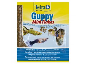 Krmivo Tetra Guppy Food sáček 12g