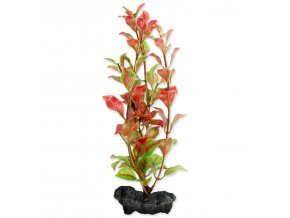 Dekorace Tetra Rostlina Red Ludwigia S 15cm
