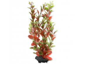 Dekorace Tetra Rostlina Red Ludwigia M 23cm