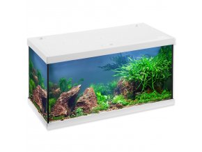 Akvarijní set Eheim Aquastar LED bílý 60x33x33 54l