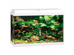 Akvarijní set Juwel Primo LED 70 bílé 61x31x44cm 70l