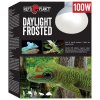 Žárovka Repti Planet Daylight Frosted 100W