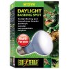 Žárovka Exo Terra Daylight Basking Spot 25W