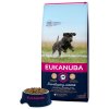 Krmivo EUKANUBA Junior Large & Giant 15kg