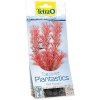 Dekorace Tetra Rostlina Foxtail Red S 15cm