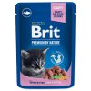 Kapsička Brit Premium Cat Kitten ryba 100g