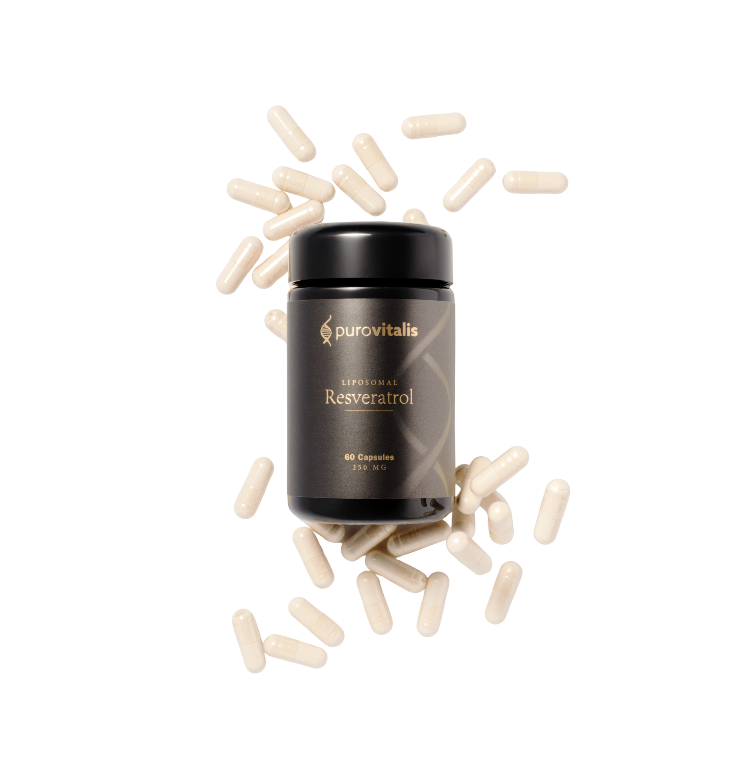 61db8c45-78bd-402c-ac03-2607d322d148