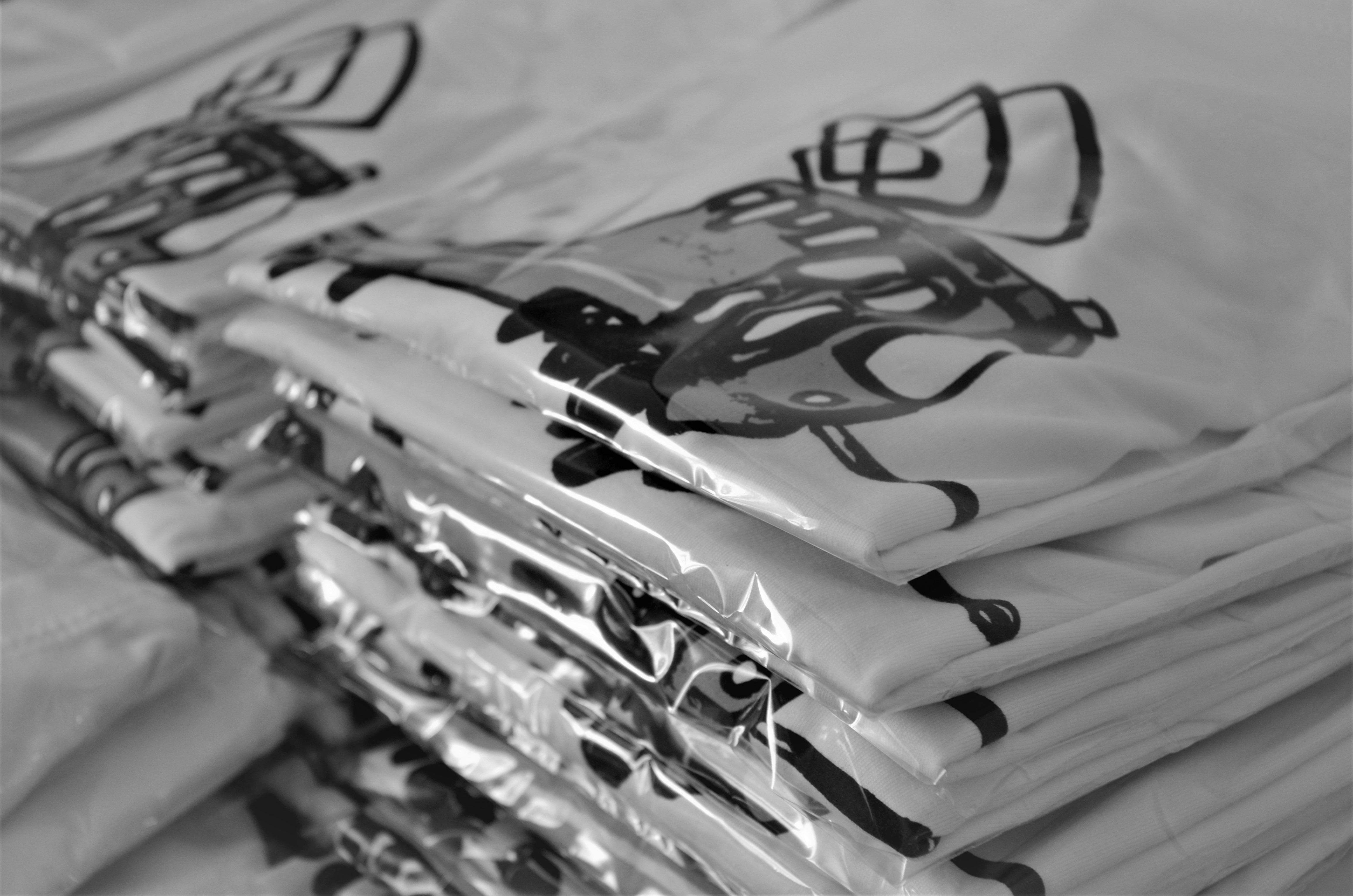 MALÉ OHLÉDNUTÍ ZA TÍM, JAK TO VŠECHNO ZAČALO 