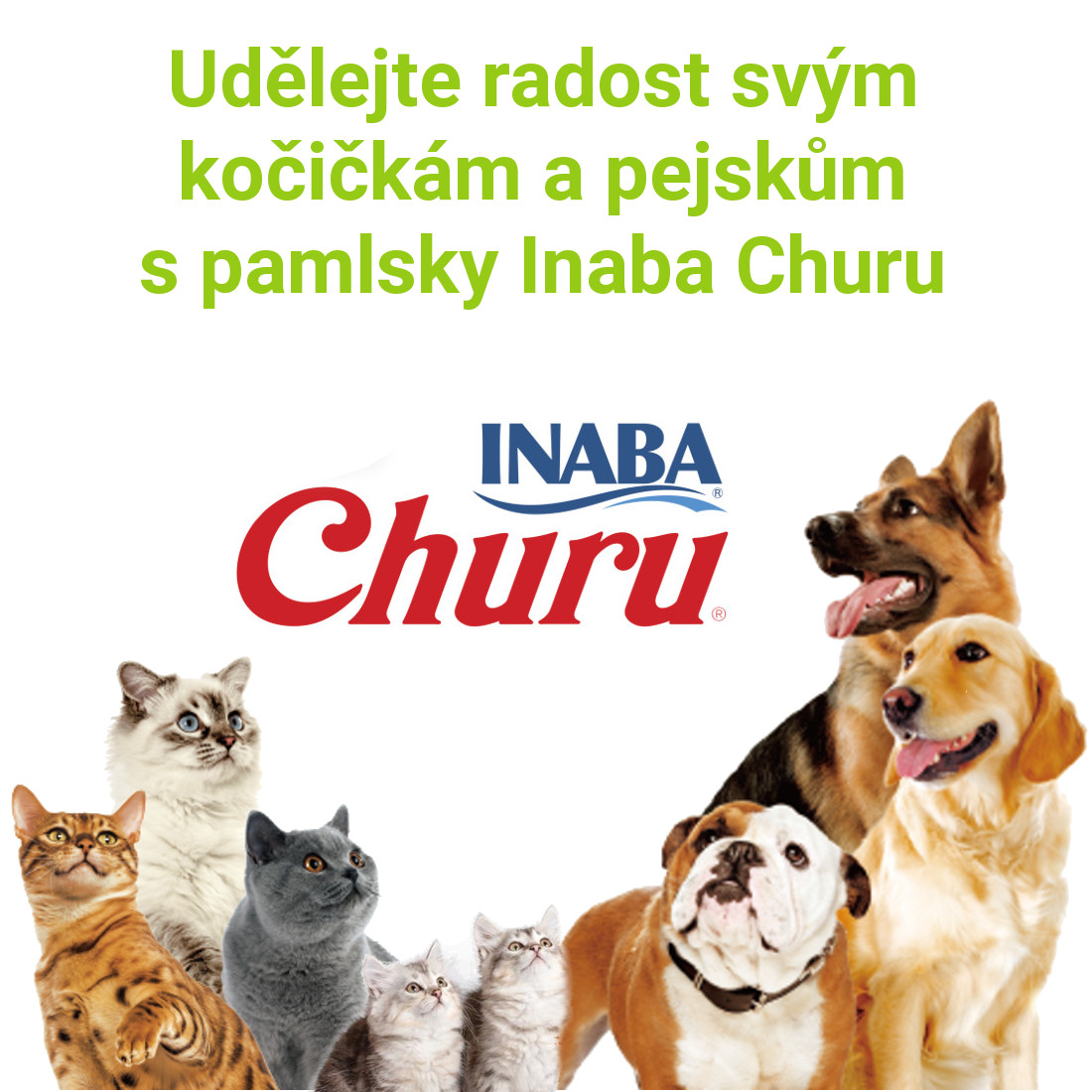 Inaba Churu - udělejte radost svým kočičkám !