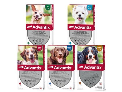 Advantix uvodni