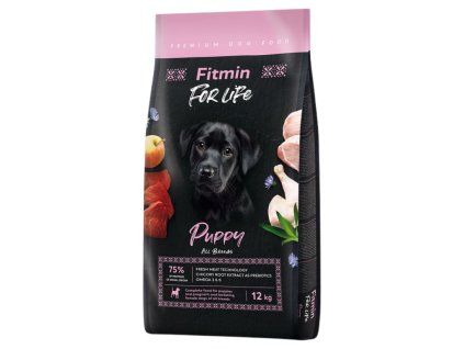FFL puppy 12