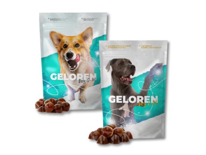 Geloren dog uvodni
