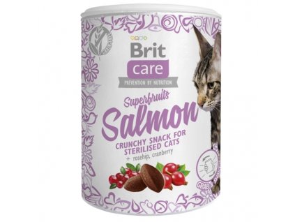 Brit Care Cat Snack Superfruits - lososové (Varianta - původní 100 g)