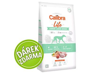 junior large chicken