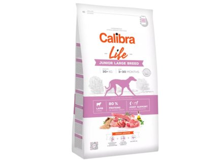 calibra junior large lamb