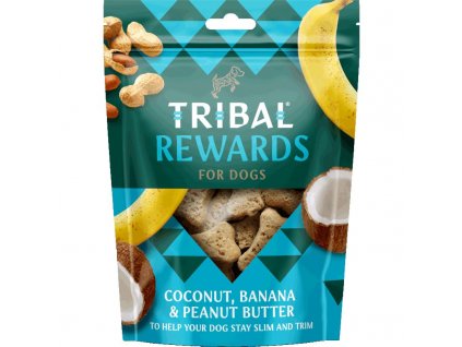 Tribal Snack - kokos, banán a arašídové máslo (Varianta - původní 125 g)