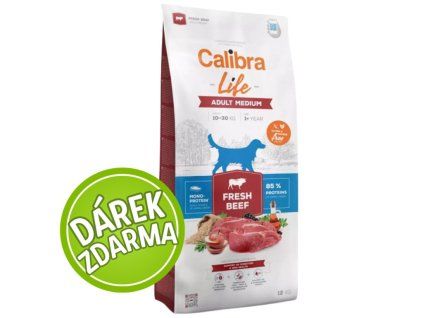 adult medium fresh beef