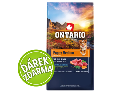 Ontario puppy medium darek