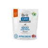 Brit Care Dog Hypoallergenic Adult Large Breed Lamb & Rice (Varianta - původní 1 kg)