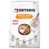 Ontario cat Shorthair 400g