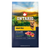 Ontario adult mini lamb 0,75