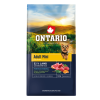 Ontario adult mini lamb 3,5