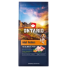 Ontario adult medium fish 12 kg