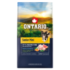 Ontario senior mini fish 6,5